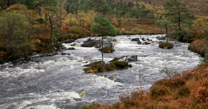 waterfall on Scottish river during rain and spate with autumn foliage, lone trees and cloudy sky background.