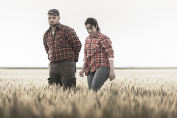 Young farmers examing planted young wheat