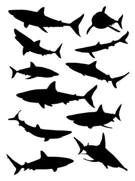 set of shark silhouettes