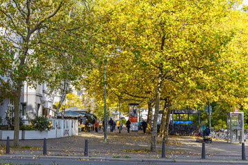 City: Street in autumn with yellow trees