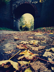 Autumn background of leafs and tunel 