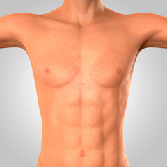 Fototapeta premium The Boy's Muscle - 3D