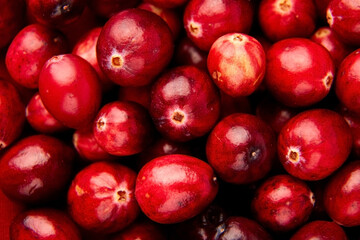 Fototapeta na wymiar cranberries food background, red fresh autumn berries