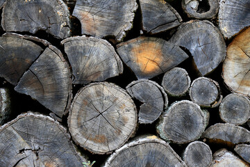 Snellville, GA - OCTOBER 24:   Woodpile in Snellville, GA