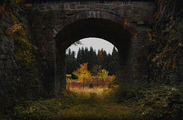 Fototapeta premium Das Viadukt im Wald