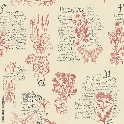 Seamless Pattern With Handwritten Text Lorem Ipsum Medicinal Herbs And Insects Vector Hand Drawn Herbs Butterflies Beetles On An Old Paper Background Wallpaper Wrapping Paper Textile Wall Mural Paseven