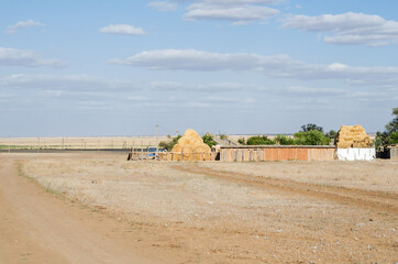 a field with dry grass in a village, a yard and sheaves of hay