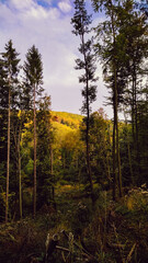 Myjava nature, Slovakia
