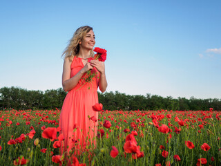 Young girl in a red dress in a poppy field
