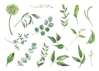 Watercolor floral illustration - leaves and branches frame with flowers and leaves for wedding stationary, greetings, wallpapers, background. Roses, green leaves. High quality illustration