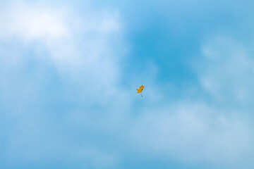 kite in the sky