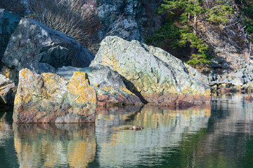 Rock formations in water at Watmough Bay, Lopez Island, Washington, USA