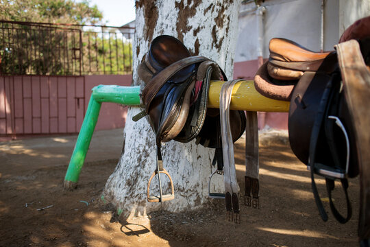 saddle for a horse, photo taken at the equestrian club