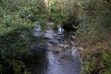 River in the countryside - obrazy, fototapety, plakaty