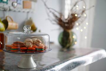macarons in the bell jar
