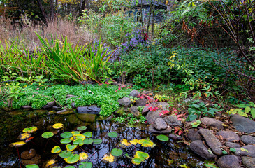Backyard pond and surrounding flowers in autumn in central Virginia.