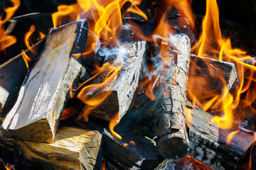 Burning wood or log in the fireplace.