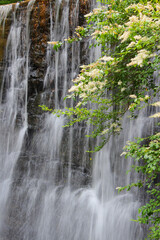 Waterfall in beautiful surroundings