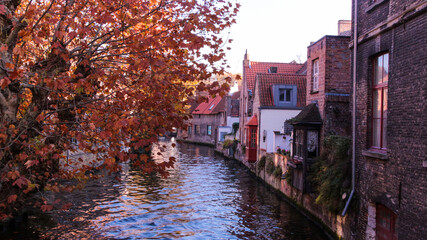 Fototapeta na wymiar Vista de las casas junto a un canal en un día de otono. Brujas, Belgica 