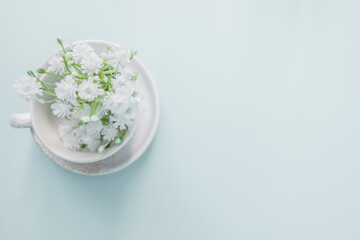 Creative spring concept made with  nature plant white  flowers decoration in  bowl   on blue pastel minimal  background  Flat lay, top view