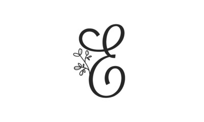 E wedding flowers alphabet characters