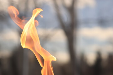 Flame of fire on the background of the reflection of trees in the display glass