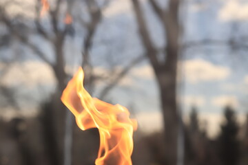 Flame of fire on the background of the reflection of trees in the display glass