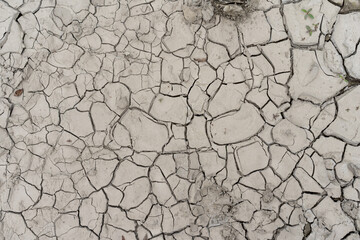 The earth is cracked into small pieces