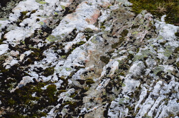 Gray stone with interlayers of marble, partially covered with moss.