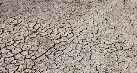Grey dry clay soil in a desert. Kazakhstan.