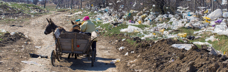 A woman leads a cart along the road through the garbage dump. Ecological catastrophy.