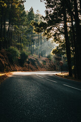 Carretera de montaña