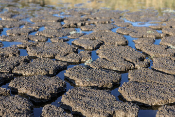 Part of a huge area of dried land suffering from drought in cracks..