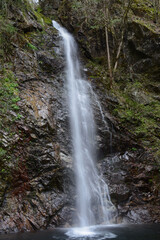 Obraz premium 払沢の滝