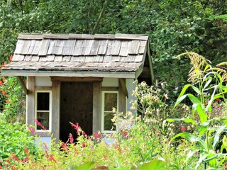wooden house in the woods
