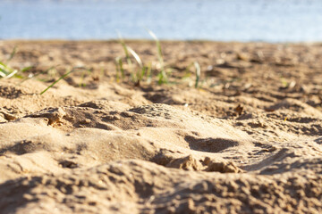 Uneven surface of sand on the beach at the seaside on a sunny day.