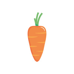 carrot vegetable icon, flat style