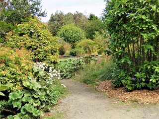 path in the garden