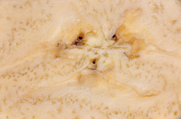 super macro shot of cut slice of  raw plantan, very close, yellow ripe fresh juicy. food background