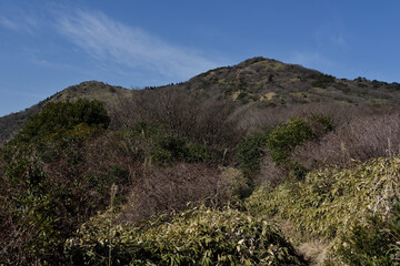 登山道から望む天山