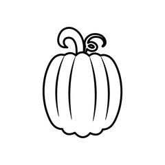 icon of pumpkin vegetable, line style