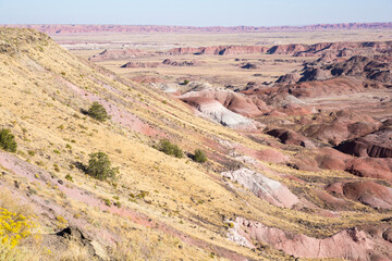 Landscape view of the beautifully colorful mounds in Petrified Forest National Park (Arizona).