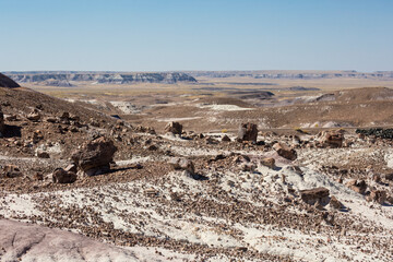 Landscape view of the beautifully colorful mounds in Petrified Forest National Park (Arizona).