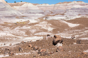 Landscape view of the beautifully colorful mounds in Petrified Forest National Park (Arizona).
