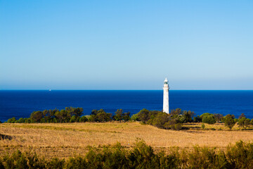lighthouse on the coast