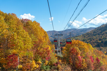 北海道の秋の風景　札幌市の紅葉
