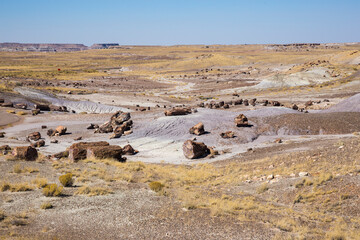 Landscape view of the beautifully colorful mounds in Petrified Forest National Park (Arizona).