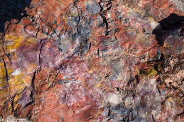 A detailed up-close view of the colorful petrified wood in Petrified Forest National Park (Arizona).