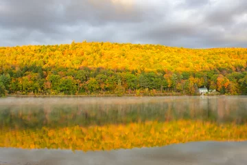 Fotobehang Oranje golden fall leaves on mountain  © Tiffany