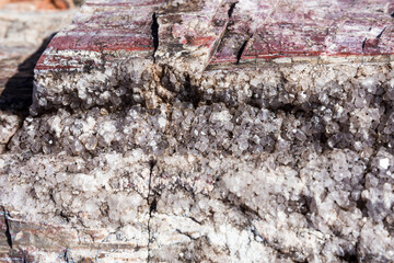 A detailed up-close view of the colorful petrified wood in Petrified Forest National Park (Arizona).